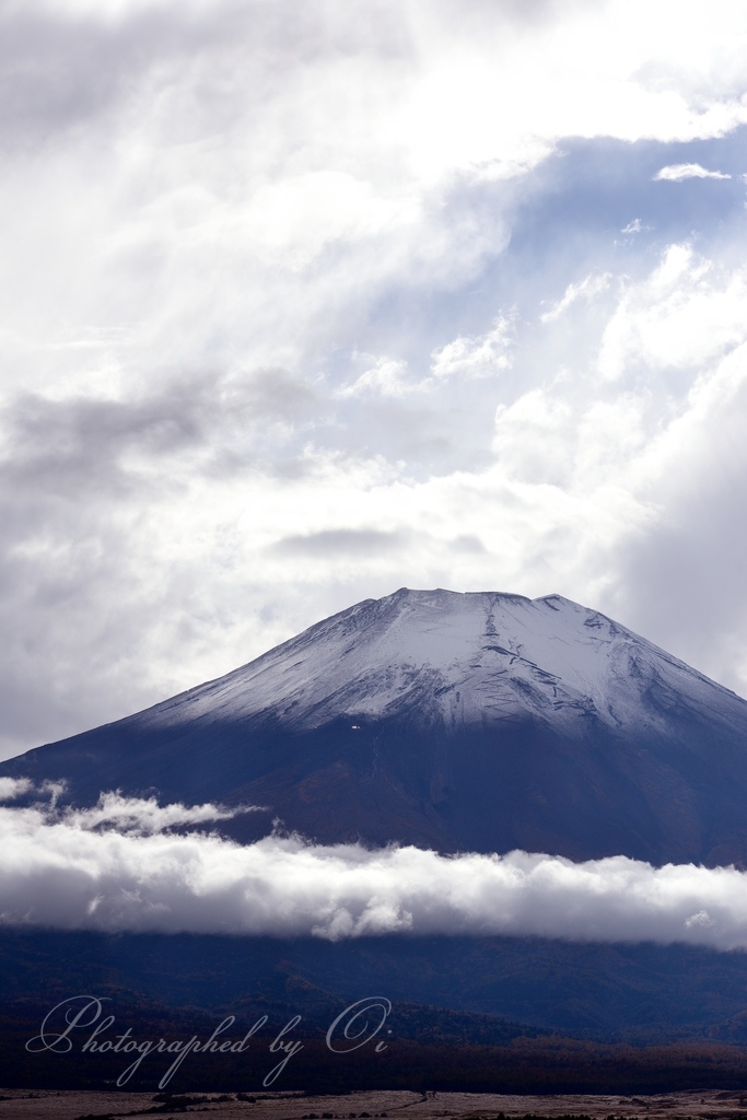 冠雪の富士山の写真̌̎二度目の化粧̏ - 山中湖・忍野村・梨ヶ原エリア࿸山梨ݼ࿹̍
