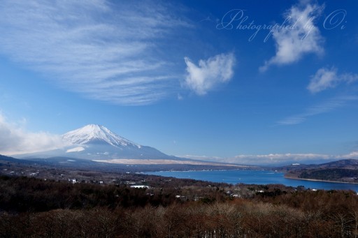 パノラマ台から富士山と山中湖の写真