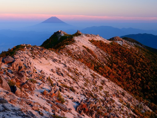 鳳凰三山のアーベンロートと富士山の写真