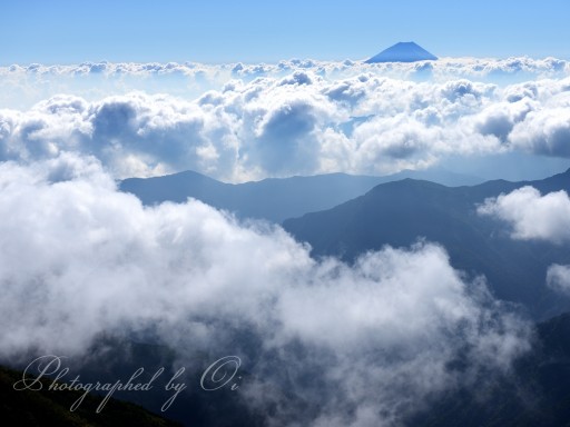 北岳より望む雲海と富士山の写真