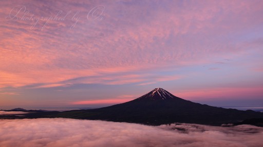 御坂黒岳の雲海と朝焼けの写真