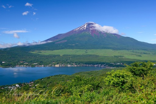 大平山の新緑と赤富士の写真