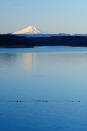 狭山湖から望む富士山の写真