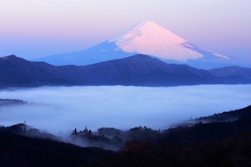 箱根大観山より望む雲海と紅富士の写真