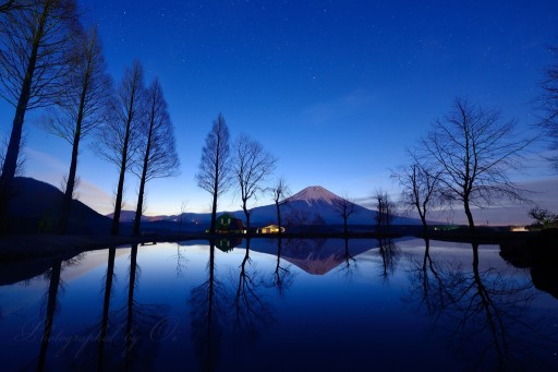 ふもとっぱらの夜明けの富士山の写真
