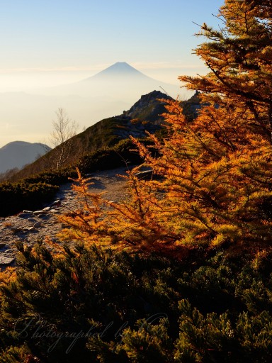 鳳凰三山の紅葉の写真