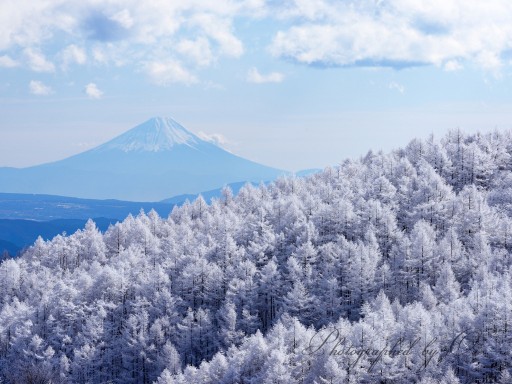高ボッチの樹氷と富士山の写真