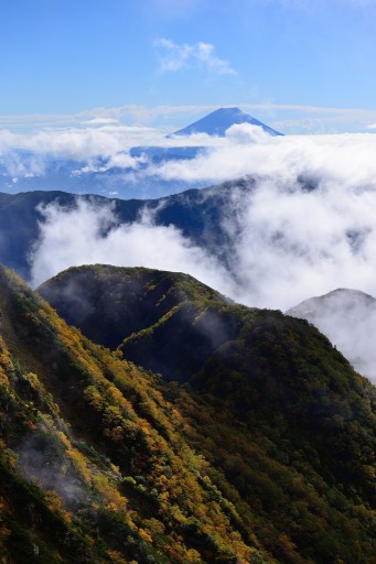 赤石岳の紅葉と富士山と雲海の写真