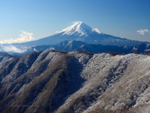 白谷丸の霧氷と富士山の写真
