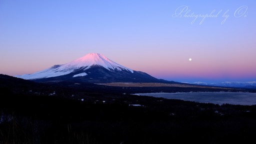 山中湖パノラマ台から望む夜明けの富士山の写真