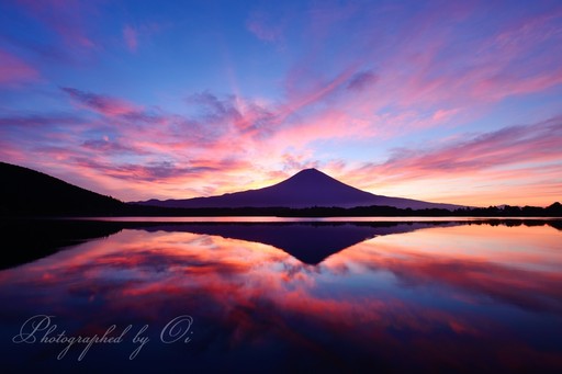 田貫湖より望む朝焼けと逆さ富士の写真