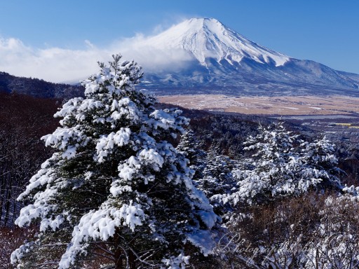 二十曲峠の雪景と富士山の写真