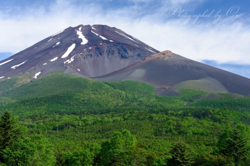 水ヶ塚公園から望む初夏の富士山の写真