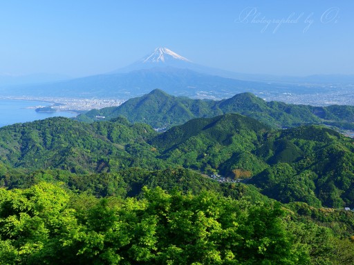 葛城山の新緑と富士山の写真