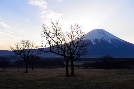 ふもとっぱらからの富士山の写真