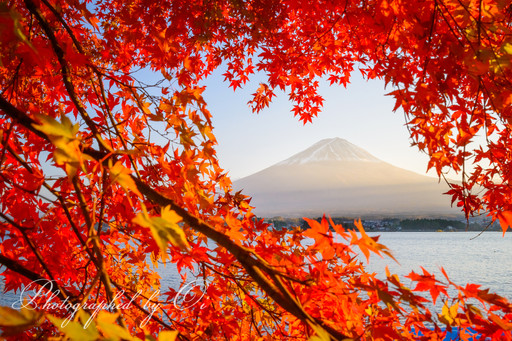 河口湖の紅葉と夕暮れの富士山の写真