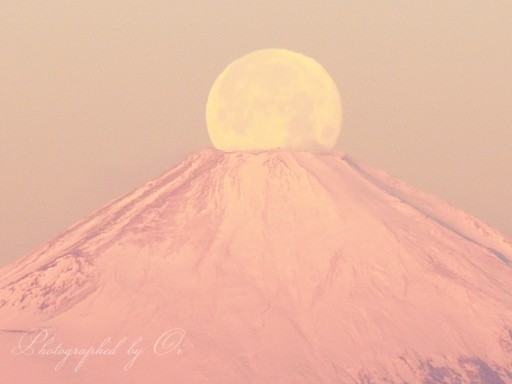 三浦半島からの紅パール富士の写真