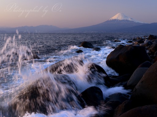 井田海岸の波しぶきの写真