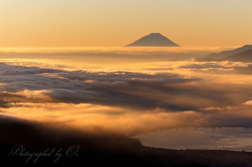 高ボッチ高原からの雲海と富士山の写真