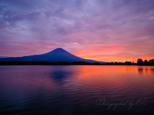 田貫湖から朝焼けと富士山の写真