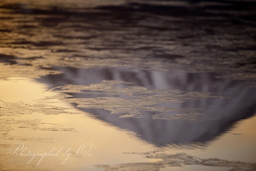 氷結する精進湖の薄氷と逆さ富士の写真