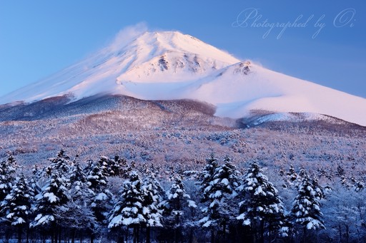 水ヶ塚駐車場から望む富士山と雪景色の写真