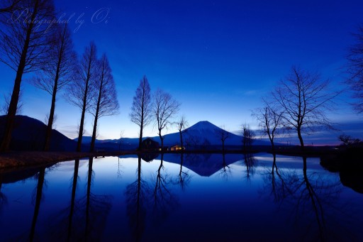 ふもとっぱらの夜明けの逆さ富士の写真