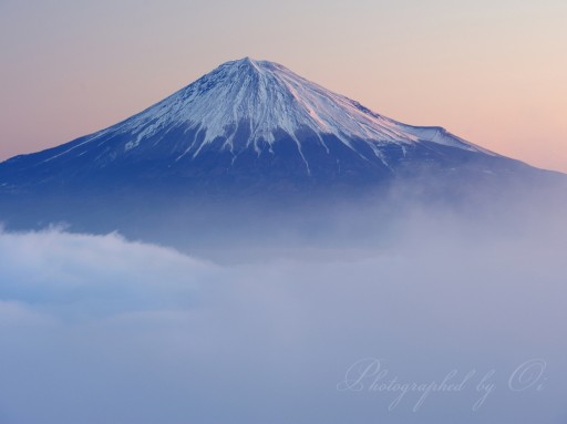 雲海の富士山の写真