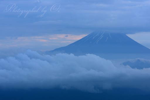 雲海と富士山の写真