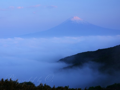 箱根スカイラインの雲海と富士山の写真