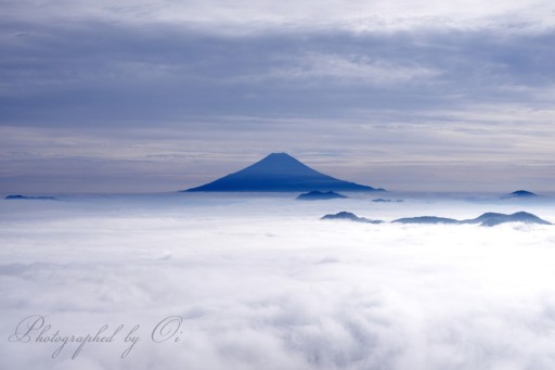雁ヶ腹摺山の雲海と富士山の写真