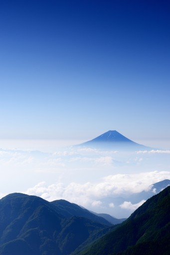 鳳凰三山(薬師岳)からの富士山と雲海の写真