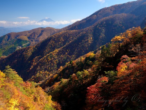 丸山林道の紅葉と富士山の写真