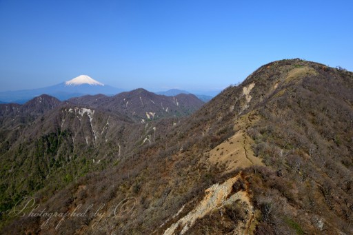 蛭ヶ岳と富士山の写真