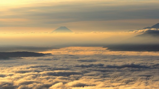 高ボッチの雲海と朝日の富士山の写真