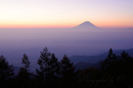 甘利山の夜明けの富士山の写真