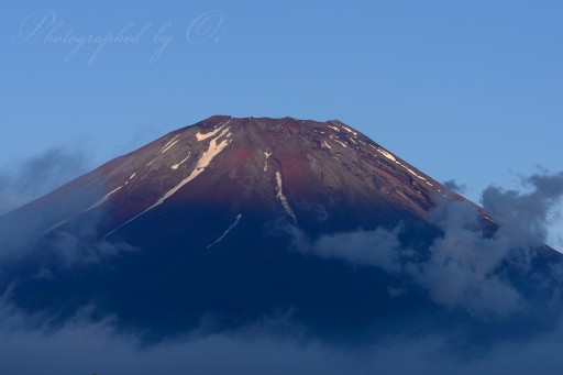 富士ヶ嶺高原の赤富士の写真
