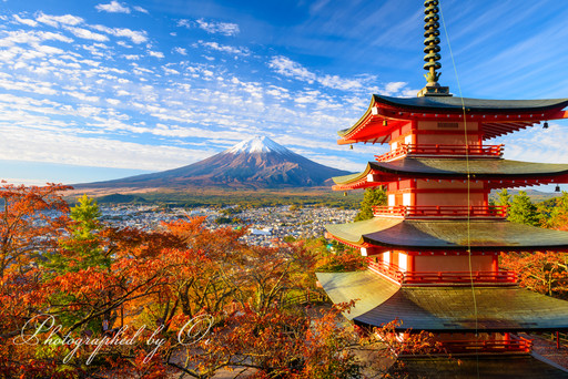 秋の新倉山浅間公園と富士山の写真