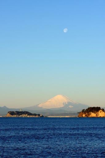 逗子マリーナからの富士山と月の写真