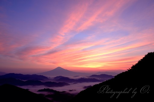清水区吉原地区より望む雲海と富士山と朝焼けの写真
