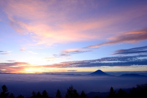 甘利山より望む朝焼けと富士山の写真