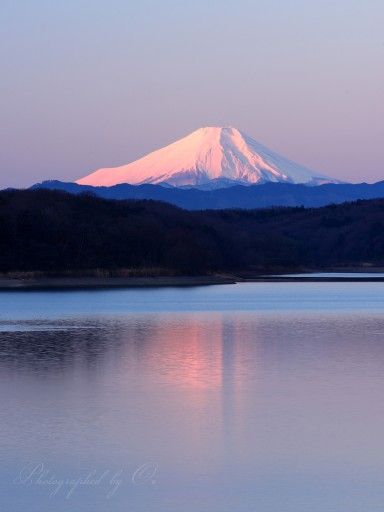 狭山湖の紅富士の写真