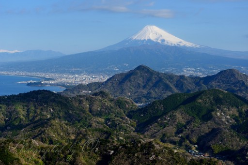 伊豆の国パノラマパークの富士山の写真