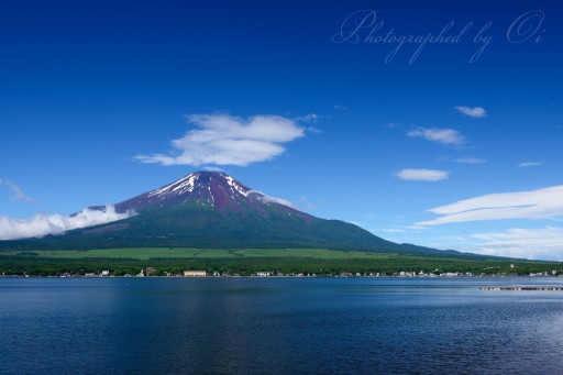 山中湖の夏の富士山の写真