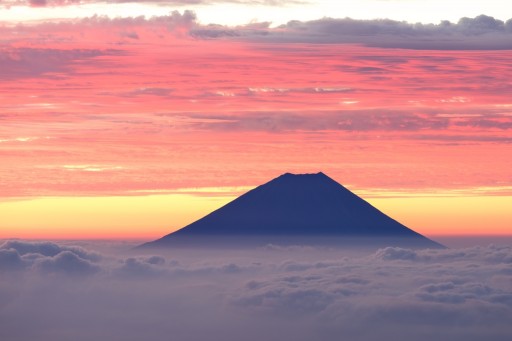 北岳から朝焼けの富士山と雲海の写真