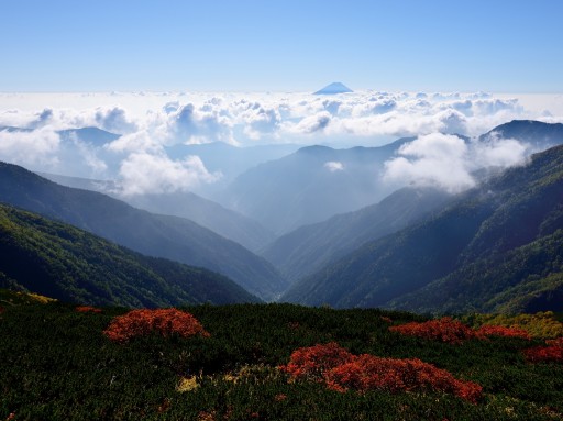 北岳の紅葉と富士山と雲海の写真