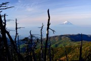 国師ヶ岳の枯れ木の写真 「天空の歴史」
