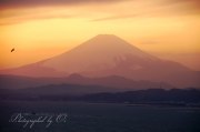 江の島シーキャンドルの写真 「パステル富士」