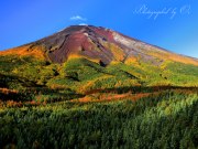 滝沢林道の写真 「紅葉の山体を」