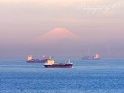 海ほたるPAから望む富士山の写真 「薄紅の幻想」